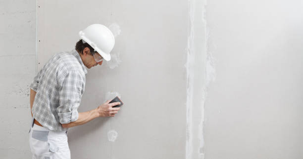 Best Drywall Removal and Disposal  in Oriole Beach, FL